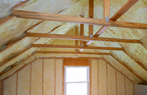 Best Geographic-Specific Insulation Services in Elsmere, DE