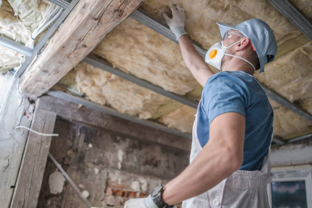 Best Blown-in Insulation in Elsmere, DE