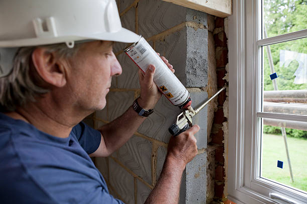 Best Eco-Friendly Insulation in Elsmere, DE